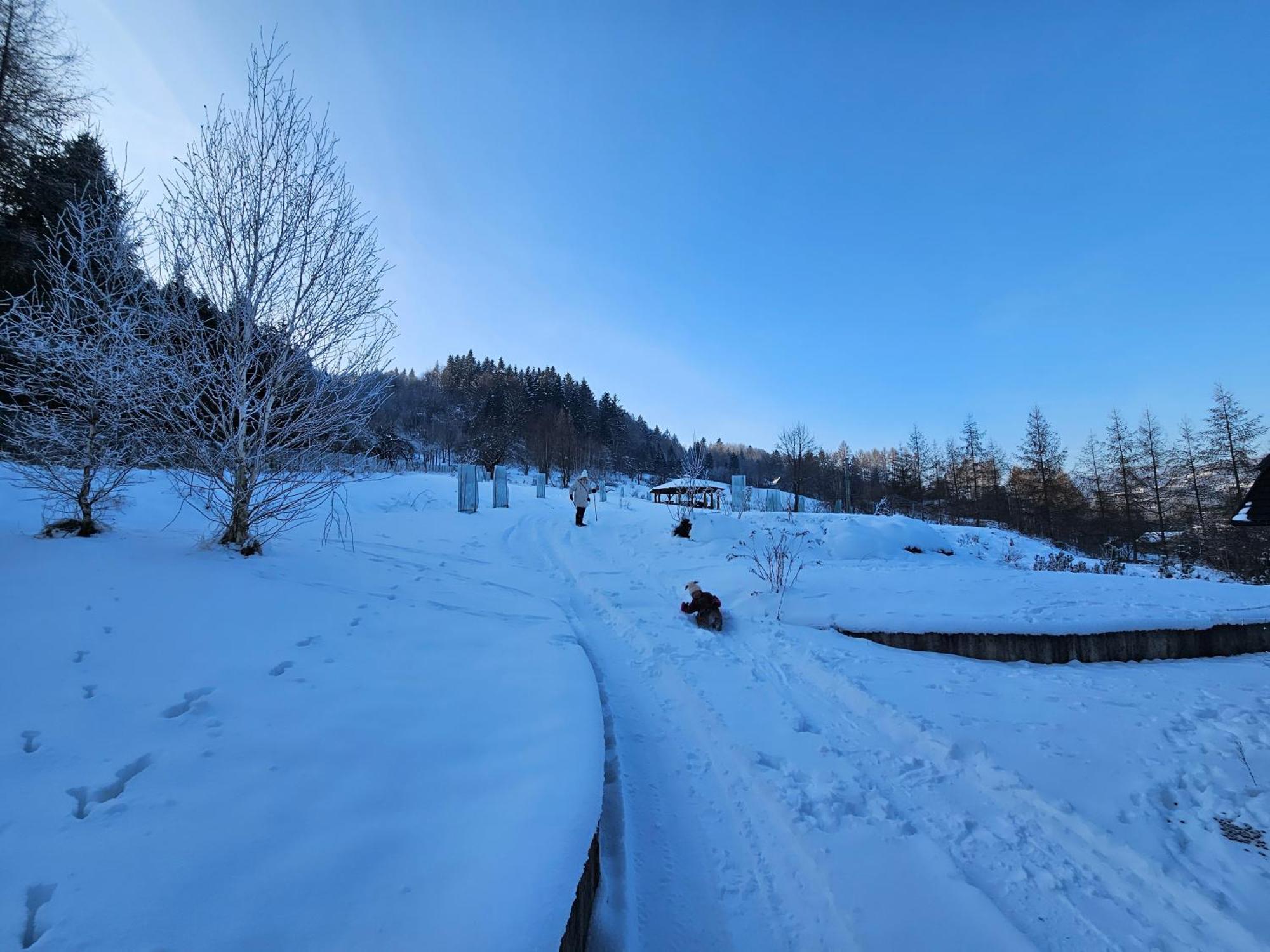 Otulina Park Bed and Breakfast Szczawnica Εξωτερικό φωτογραφία