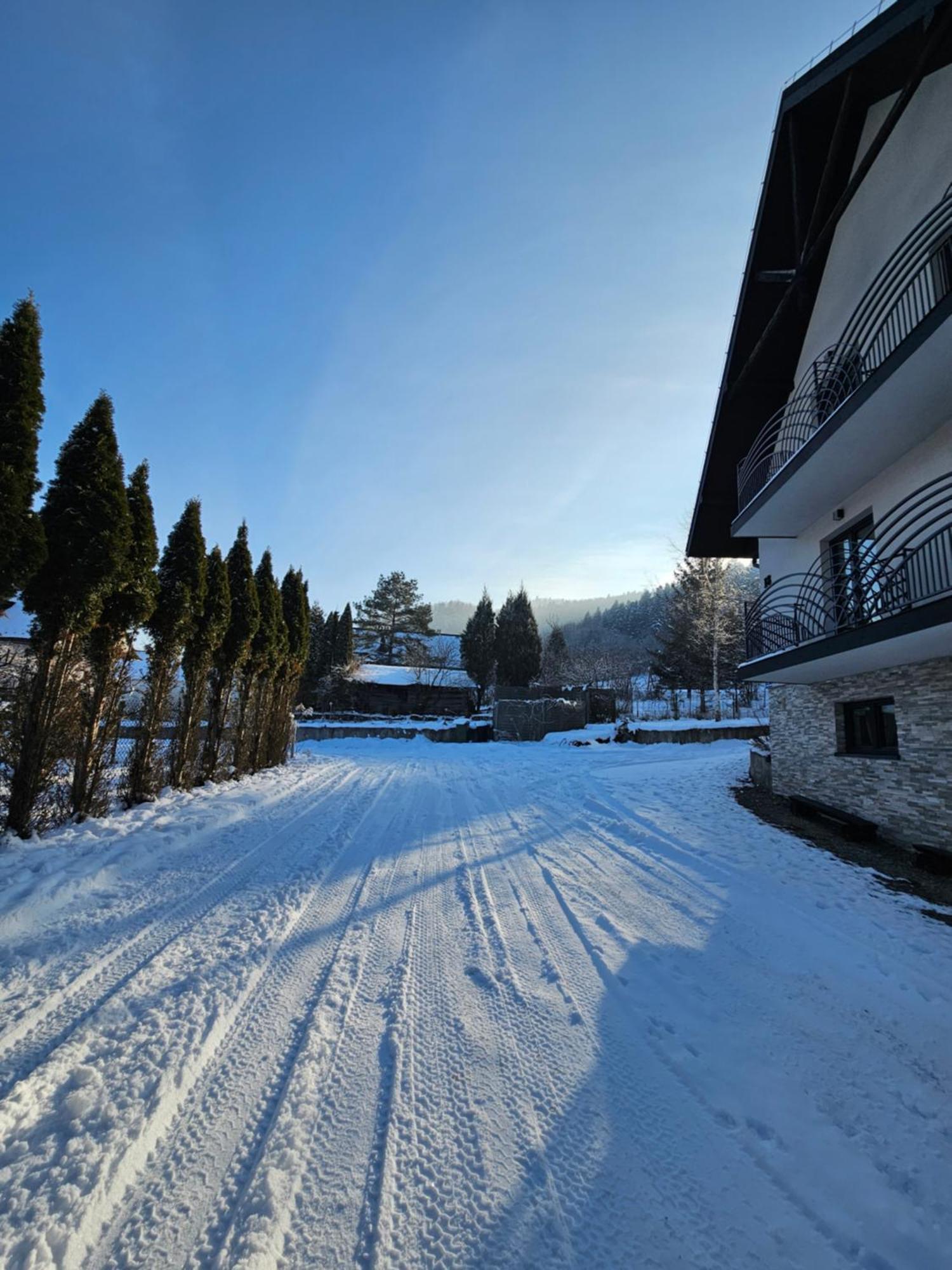 Otulina Park Bed and Breakfast Szczawnica Εξωτερικό φωτογραφία