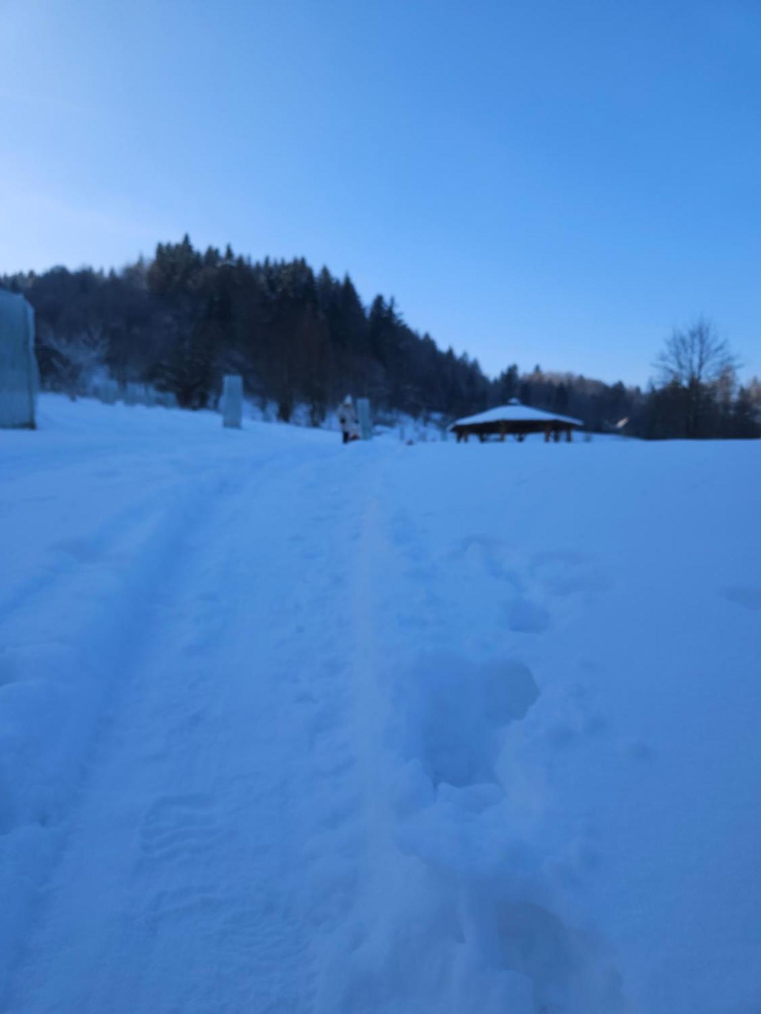 Otulina Park Bed and Breakfast Szczawnica Εξωτερικό φωτογραφία