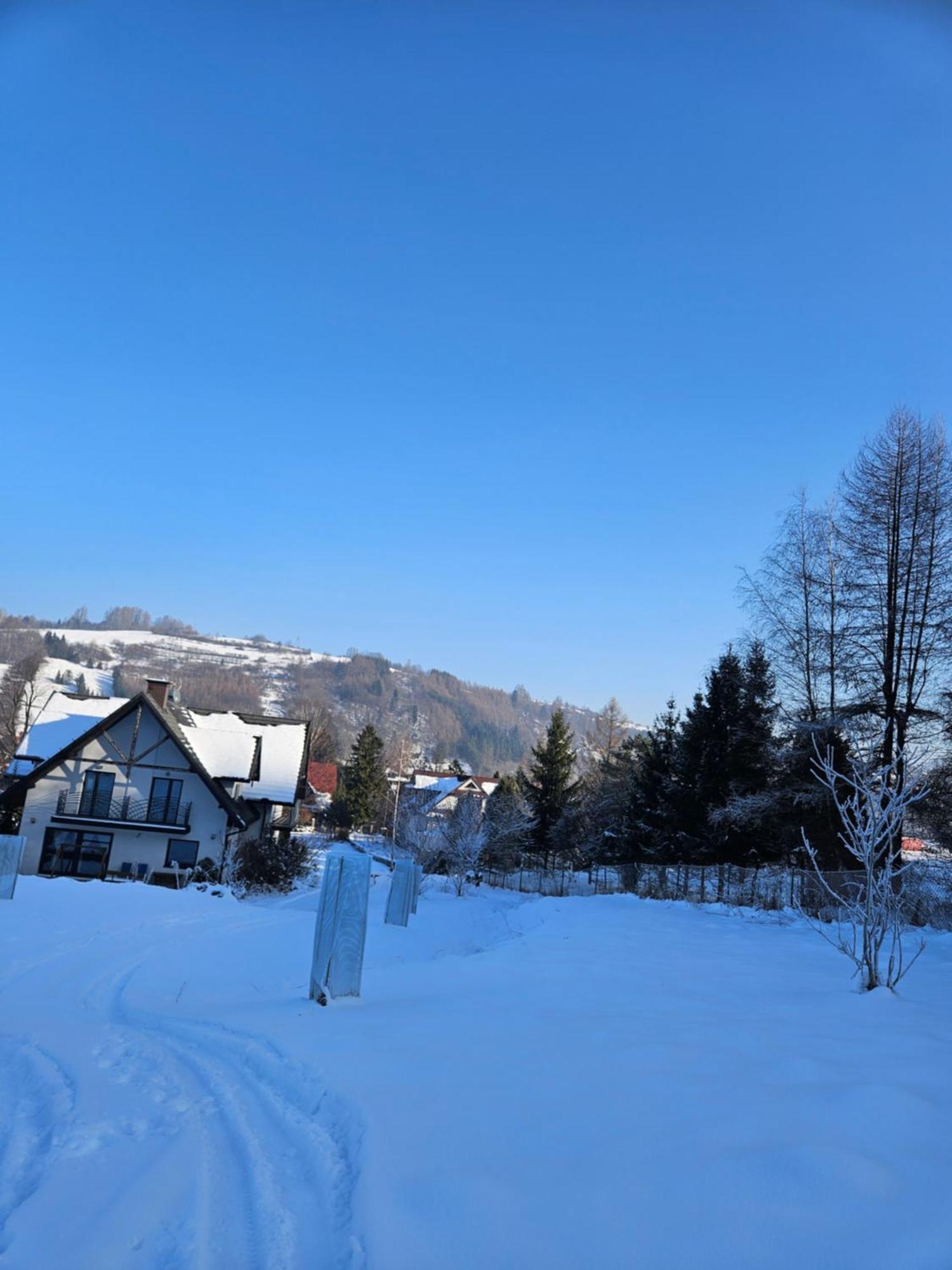 Otulina Park Bed and Breakfast Szczawnica Εξωτερικό φωτογραφία