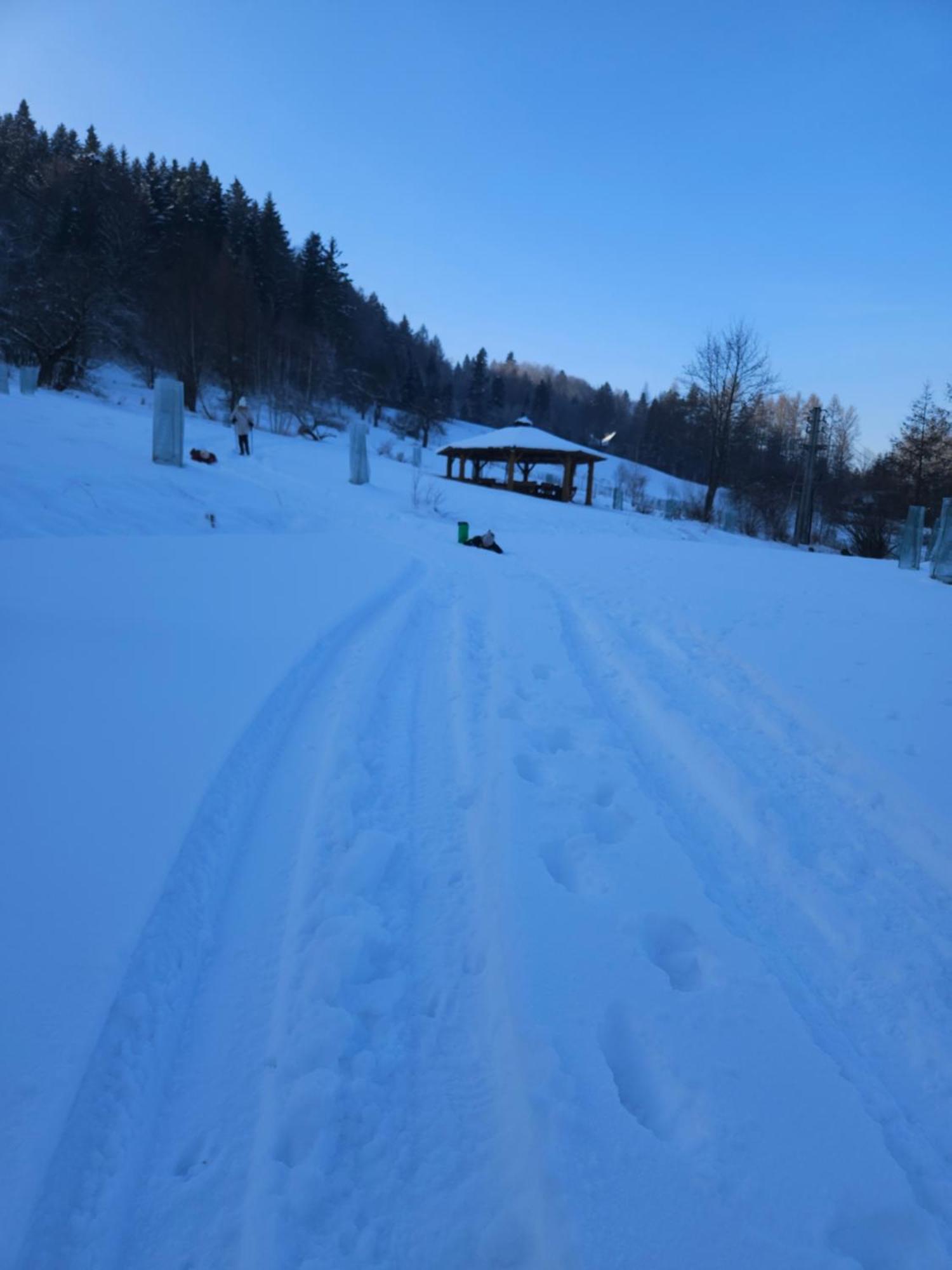 Otulina Park Bed and Breakfast Szczawnica Εξωτερικό φωτογραφία